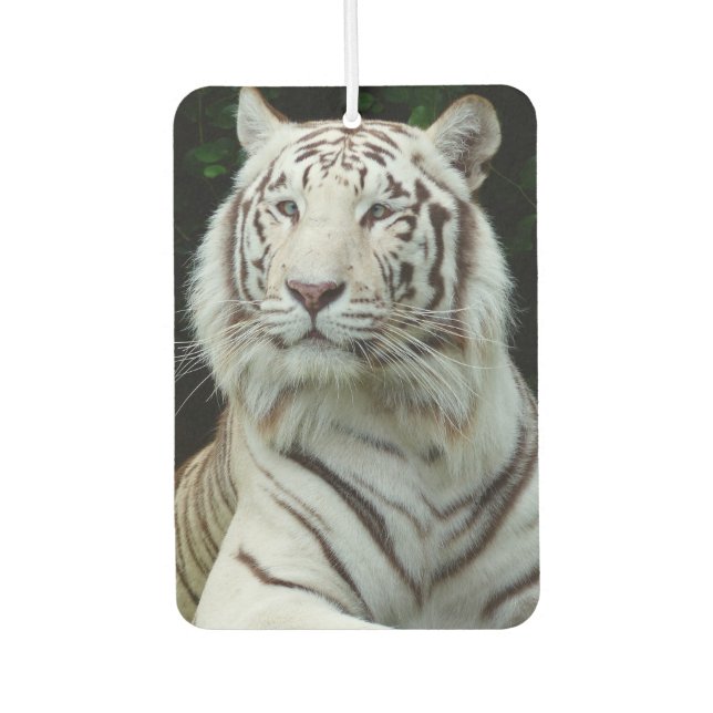 Désodorisant Pour Voiture Super tigre blanc (Devant)