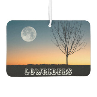 Désodorisant Pour Voiture Tapis de sol de voiture LowRider