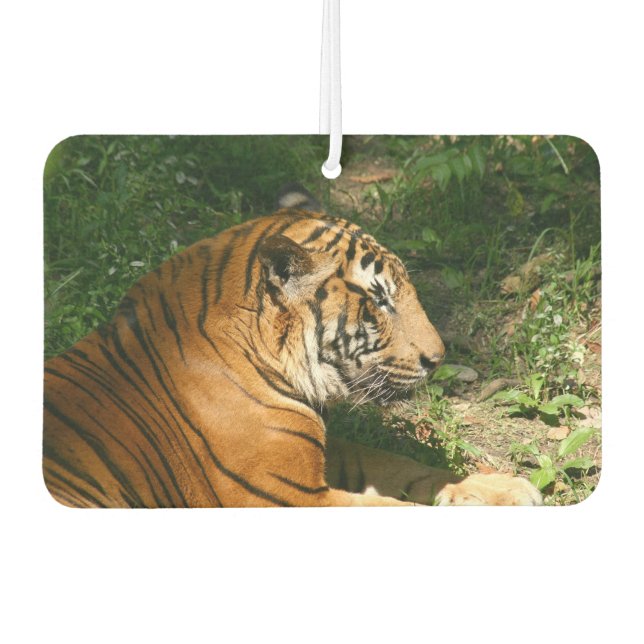 Désodorisant Pour Voiture Tigre (Devant)