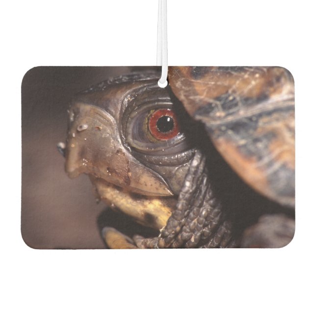 Désodorisant Pour Voiture tortue (Devant)