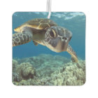 Tortue verte hawaïenne