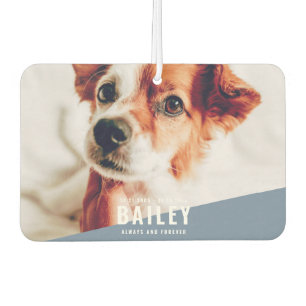 Désodorisant Pour Voiture Toujours et toujours Pet Memorial Photo moderne