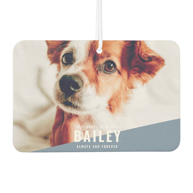 Désodorisant Pour Voiture Toujours et toujours Pet Memorial Photo moderne (Devant)