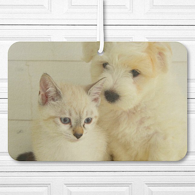 Désodorisant Pour Voiture Voiture photo personnalisée pour animaux (Créateur téléchargé)