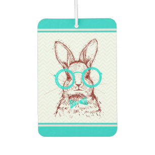 Désodorisant Pour Voiture Volet de Pâques Turquoise Hipster Vacances