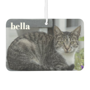 Désodorisant Pour Voiture Votre nom d'animal de compagnie et votre Modèle ph