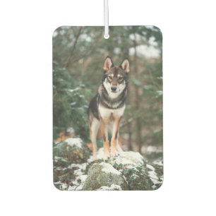Désodorisant Pour Voiture Wolfdog