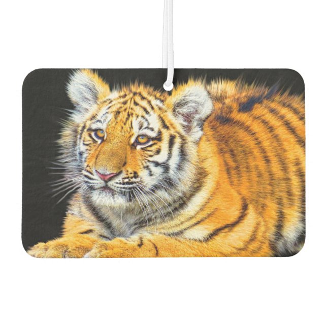 Désodorisant Pour Voiture Young Tiger (Devant)