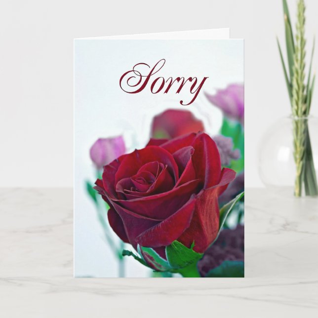 Désolé carte avec une rose rouge (Devant)