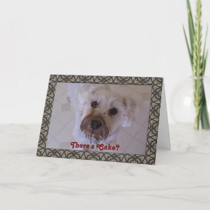 Désolé carte Guilty Schnauzer