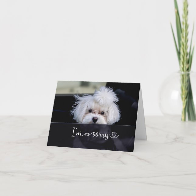 Désolé Carte vierge (Devant)