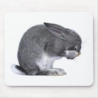 Despairing Rabbit Mouse Pad