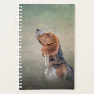Dessin Beagle de chien