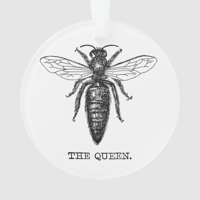 Dessin classique de l'illustration de Queen Bee (dos)