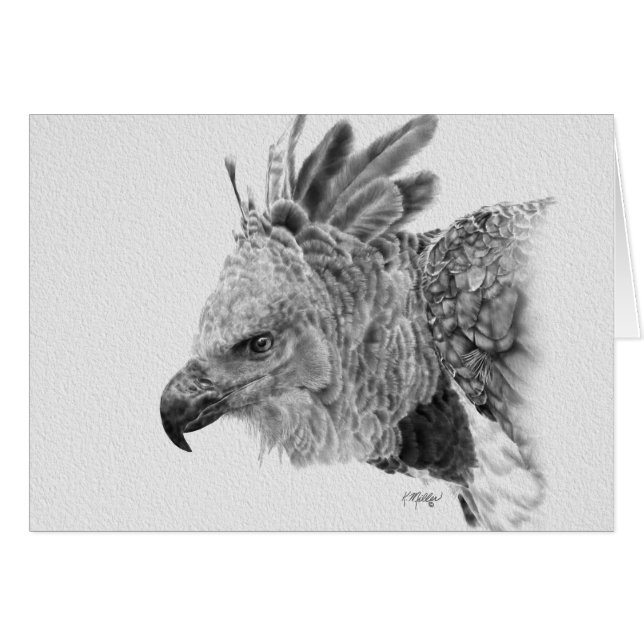 Dessin d'aigle (Devant horizontal)