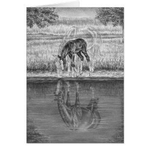 Dessin de cheval de jument et de poulain par le