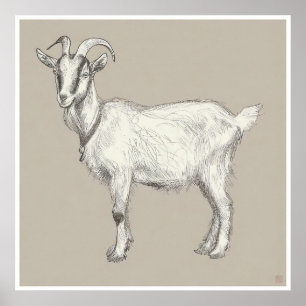 Dessin de chèvre - Impression d'archives