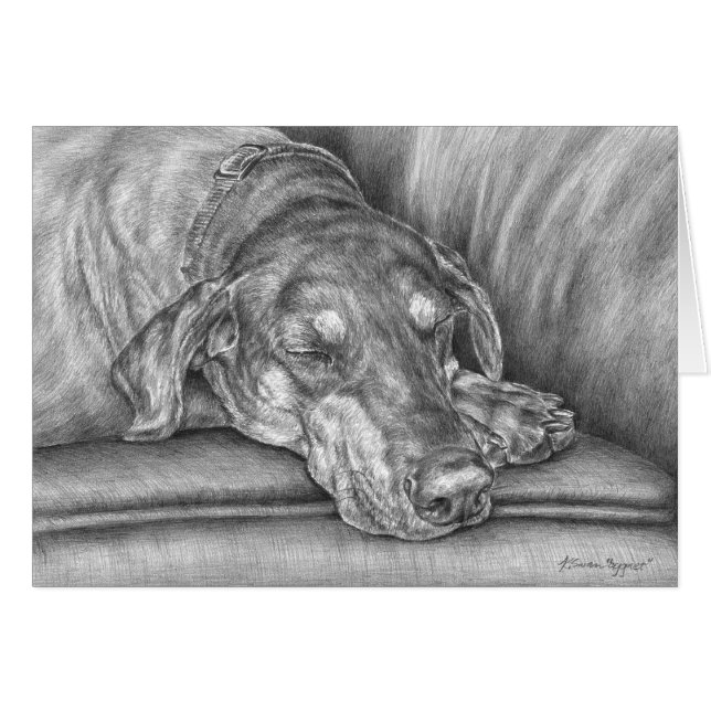 Dessin de chien Doberman Dormeping par Kelli Swan (Devant Horizontal)