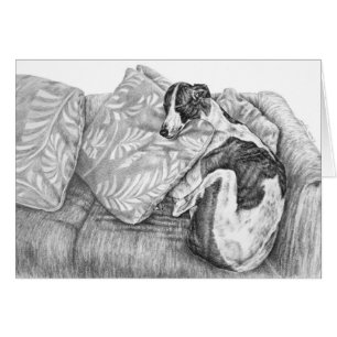 Dessin de Chien Greyhound par Kelli Swan