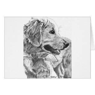 Dessin de chiot de golden retriever