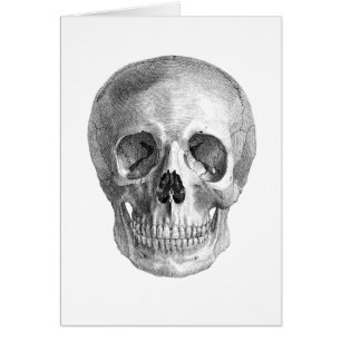 Dessin de croquis humain d'anatomie de crâne