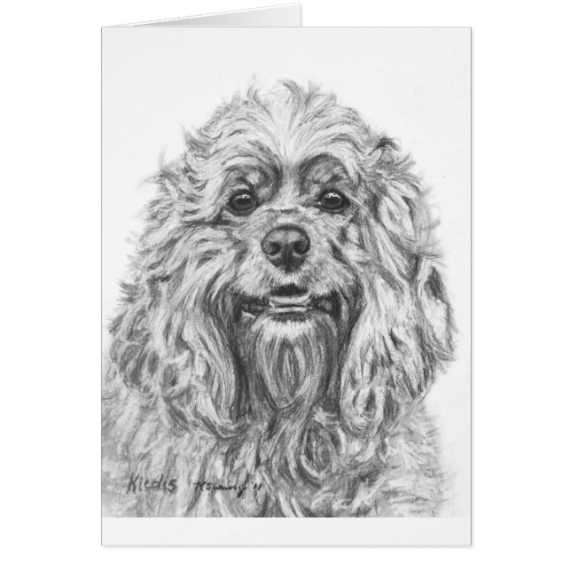 Dessin de fusain de cocker (Devant)