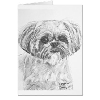 Dessin de Shih Tzu