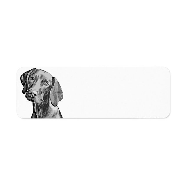 Dessin de Vizsla (Devant)