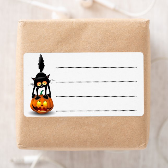 Dessin d'Halloween au chat effrayé sur Citrouille (En situation)