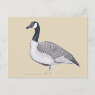 Dessin d'oie debout sur les cartes postales de sab