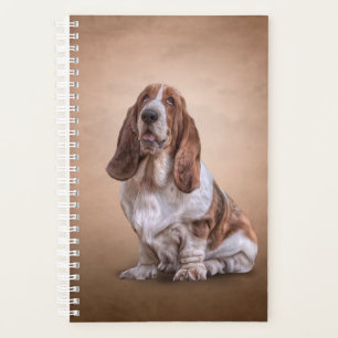 Dessin drôle Basset Hound chien
