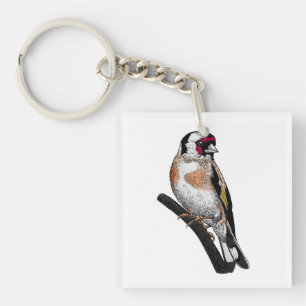 Dessin Goldfinch