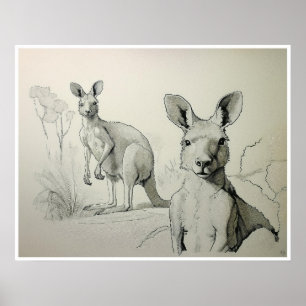 Dessin Kangaroos - Impression d'art