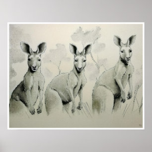 Dessin Kangaroos - Impression d'art