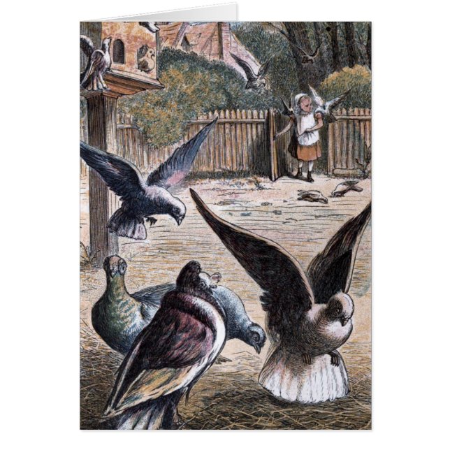 Dessin vintage : Transporteur Pidgeons (Devant)