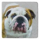 Bulldog Painting - Joli art original chien
