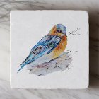 Elégante aquarelle Bluebird Nature