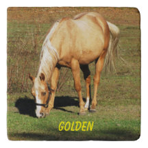 Majestic Palomino Horse - Beaux Art Photographie