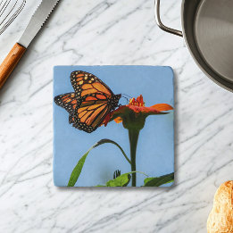 Dessous-de-plat Nourriture de papillon monarque sur la Lily orange