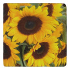 Tile de tournesol