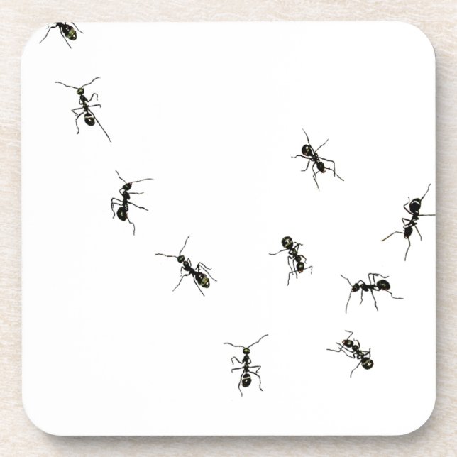 Dessous-de-verre 10 fourmis (Devant)