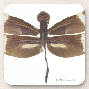 DESSOUS-DE-VERRE 23599152