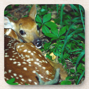 DESSOUS-DE-VERRE 24114390