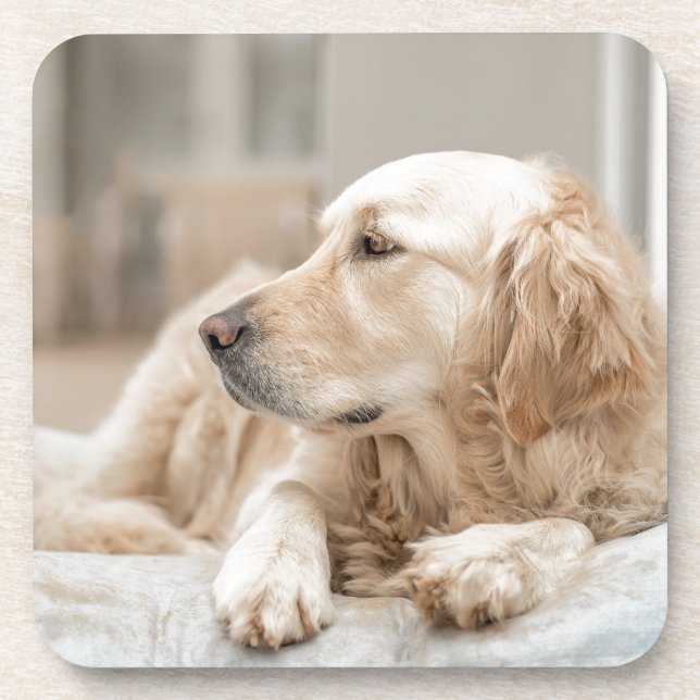 Dessous-de-verre 34137641_xxl (Devant)