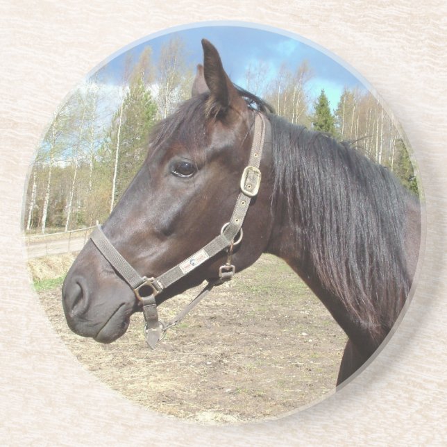 Dessous de verre à cheval (Devant)