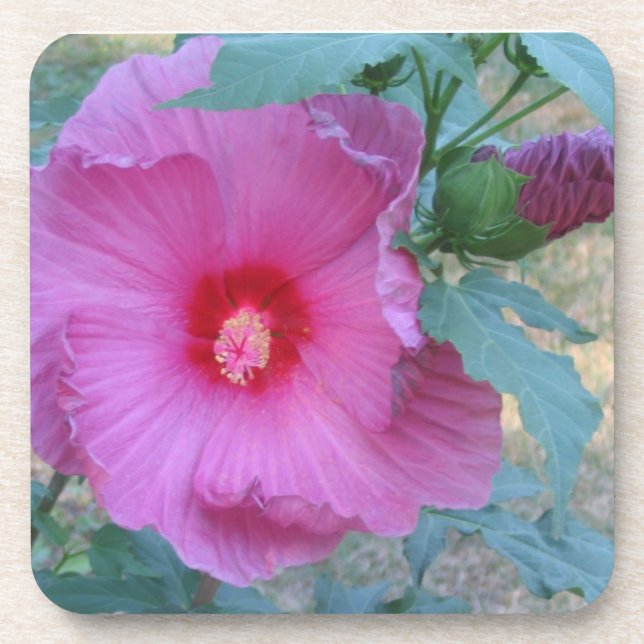 Dessous de verre à fleurs (Devant)