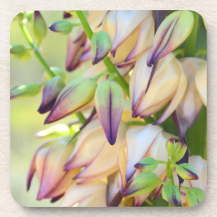 dessous de verre à fleurs de yucca