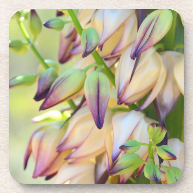 dessous de verre à fleurs de yucca (Devant)