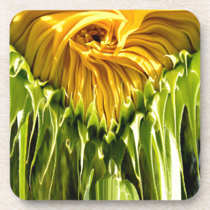 Dessous-de-verre Abstrait tournesol rétro funky, géométrie effrayée
