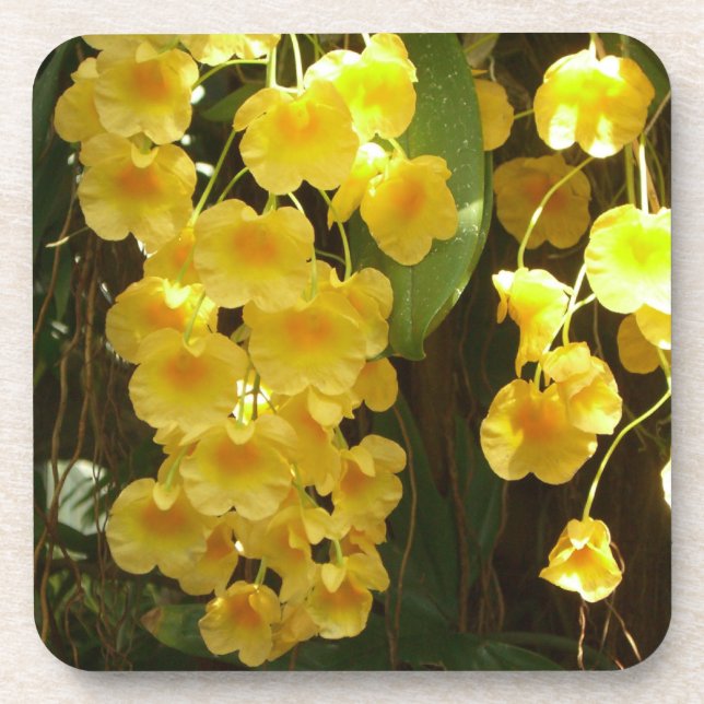 Dessous-de-verre Accrocher les orchidées jaunes Fleurs tropicales (Devant)